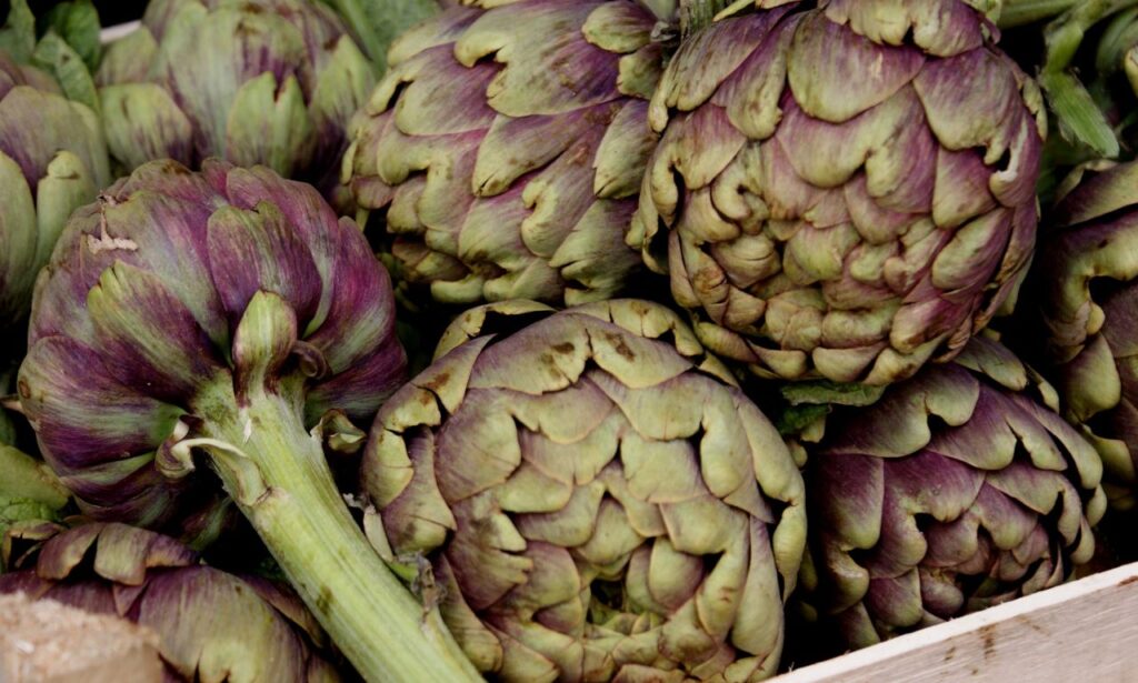 Cucina Romana - Carciofi